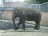 DSC06867.JPG