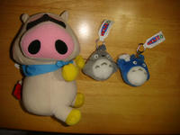 DSC06935.JPG