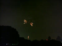 DSC06978.JPG