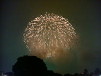 DSC06994.JPG