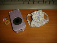DSC07313.JPG