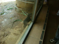 DSC07346.JPG