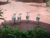 DSC07351.JPG