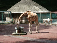 DSC07352.JPG