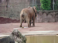 DSC07355.JPG