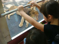 DSC07364.JPG