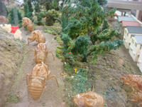 DSC07380.JPG