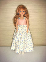 DSC07393.JPG