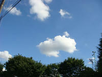 DSC07394.JPG