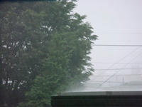 DSC07488.JPG