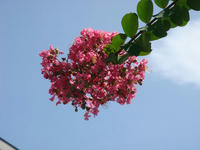 DSC07499.JPG