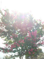 DSC07500.JPG