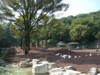 DSC07547.JPG