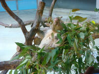 DSC07571.JPG