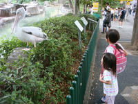 DSC07616.JPG