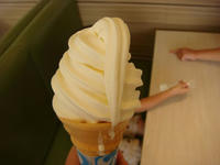 DSC07646.JPG