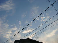 DSC07686.JPG
