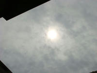 DSC07703.JPG