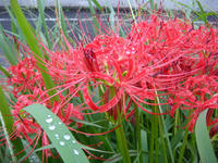 DSC07764.JPG