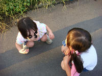 DSC07773.JPG