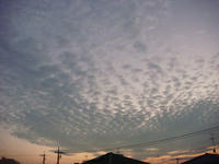DSC07790.JPG