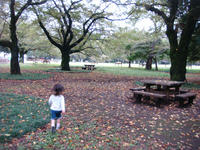DSC07923.JPG