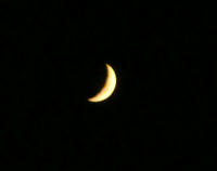 DSC08007.JPG