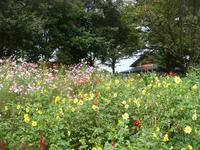 DSC08013.JPG