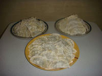 DSC08027.JPG