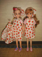 DSC08031.JPG