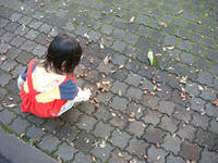DSC08083.JPG