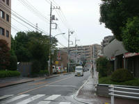 DSC08145.JPG