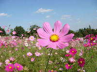 DSC08246.JPG
