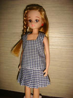 DSC08271.JPG