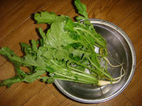 DSC08287.JPG