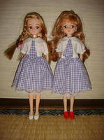 DSC08293.JPG