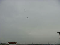 DSC08331.JPG