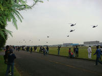 DSC08337.JPG
