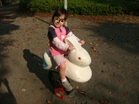 DSC08384.JPG