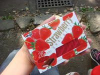DSC08429.JPG