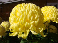DSC08479.JPG