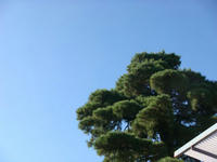 DSC08480.JPG