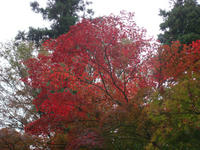 DSC08577.JPG
