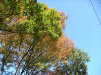 DSC08590.JPG