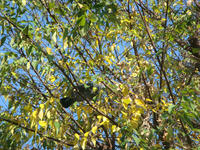 DSC08607.JPG