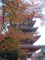 DSC08652.JPG