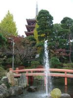 DSC08677.JPG
