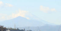 DSC08712.JPG