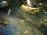 DSC08730.JPG