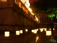 DSC08787.JPG